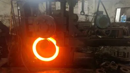 Flange de soldagem plana En1902 Pn10 de aço inoxidável