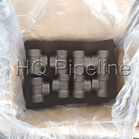 Acessórios forjados de aço inoxidável de alta pressão 3000lbs